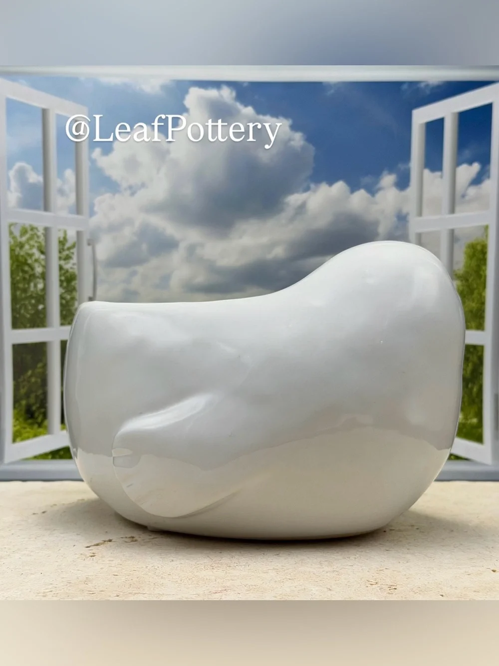 Ceramic Seal Planter with Drainage Hole • Cute Animal Flower Pot